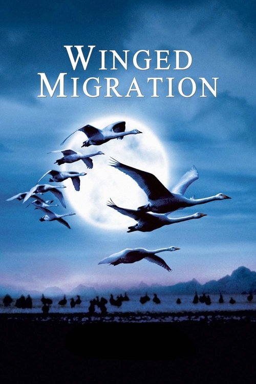 Winged Migration (2001) poster