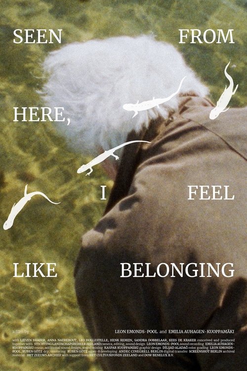 Seen From Here, I Feel Like Belonging (2025) poster