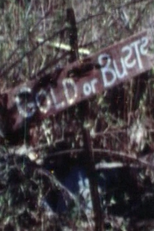 Gold or Busts (1973) poster