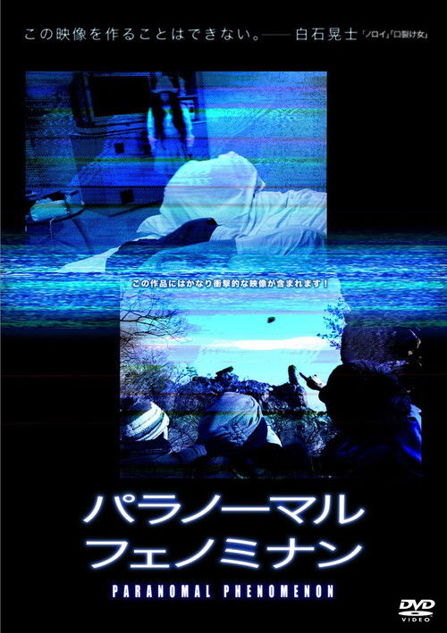 Paranormal Phenomenon (2010) poster