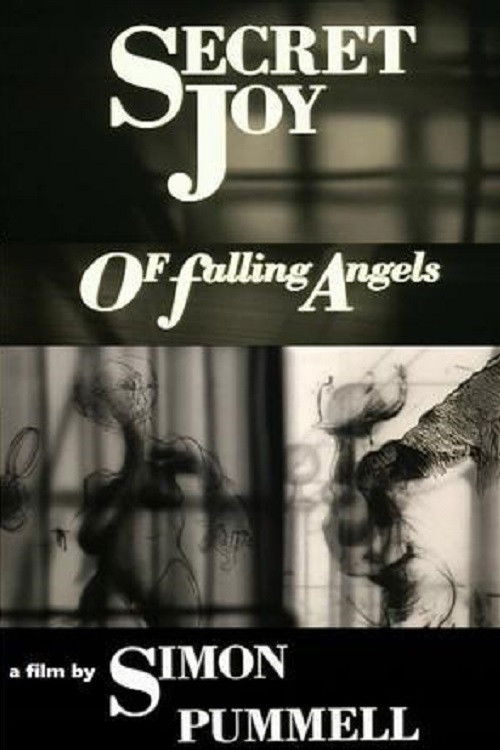 Secret Joy of Falling Angels (1991) poster