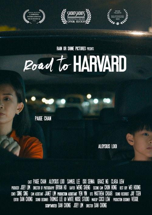Road to Harvard (2024) poster