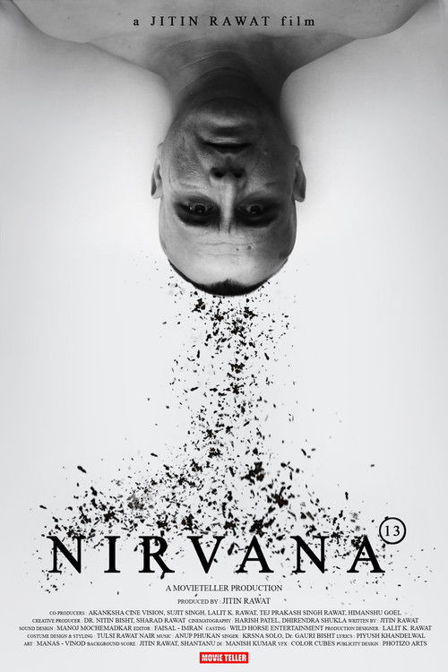 Nirvana 13 (2011) poster