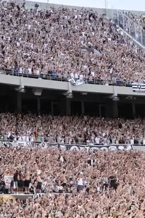 Bastidores do Botafogo Campeão da Conmebol Libertadores 2024 poster