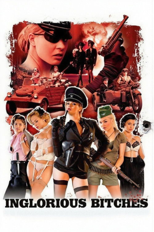 Inglorious Bitches (2011) poster