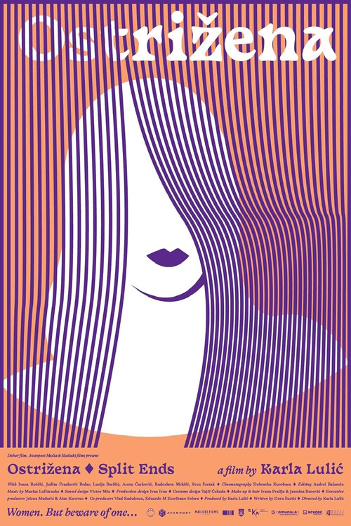 Split Ends (2023) poster