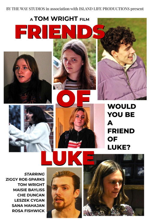 Friends of Luke (2022) poster