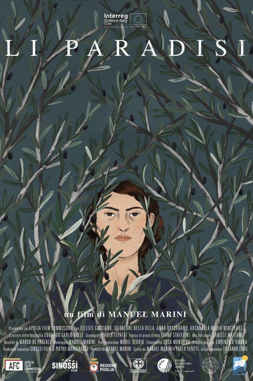 The Heavens (2020) poster