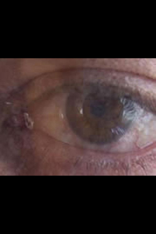 Mon corps vivant, mon corps mort (2003) poster