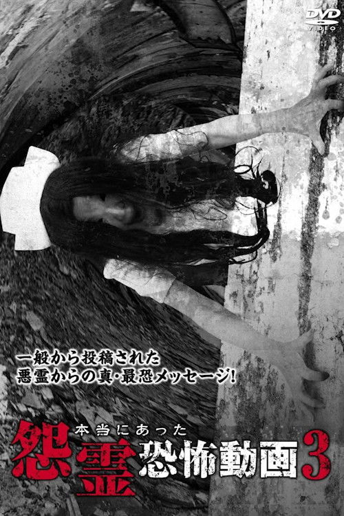 Real Vengeful Ghost Horror Video 3 (2014) poster