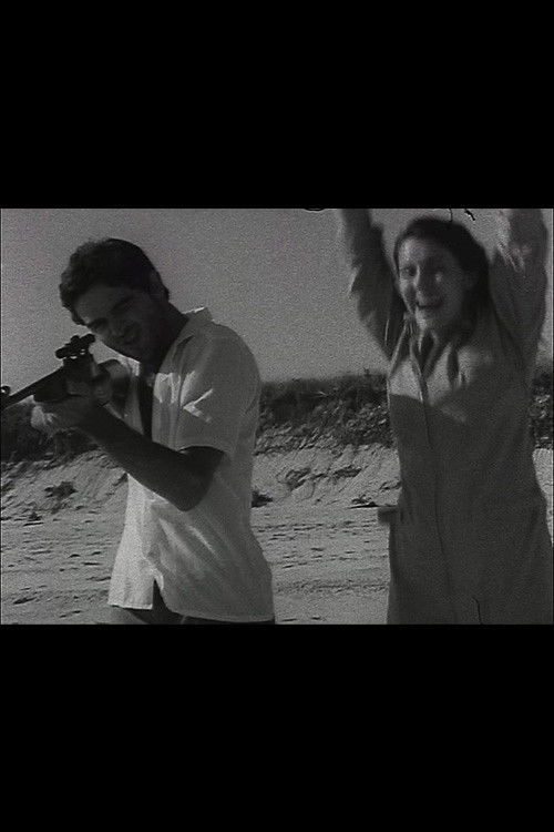 Fun's Over (2006) poster