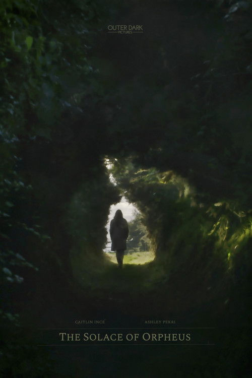 The Solace of Orpheus (2018) poster