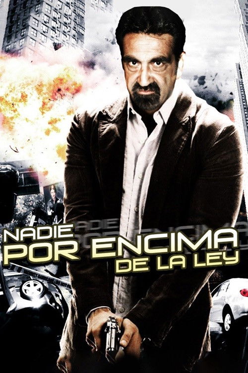 Nadie por encima de la ley (2007) poster