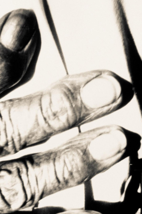 her silent life. (2011) poster