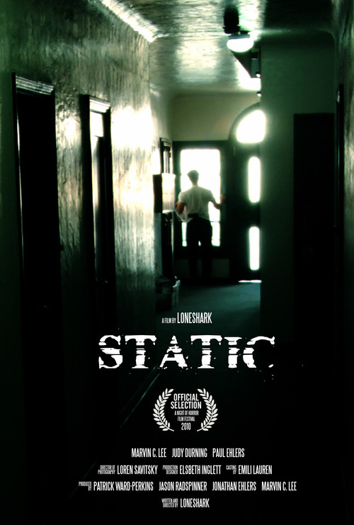 Static (2008) poster