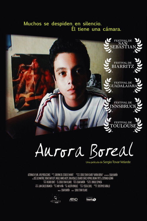 Aurora Boreal (2007) poster