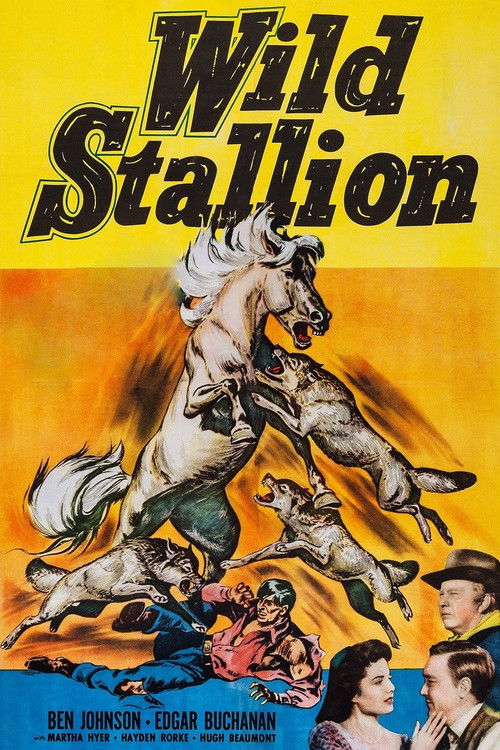 Wild Stallion (1952) poster