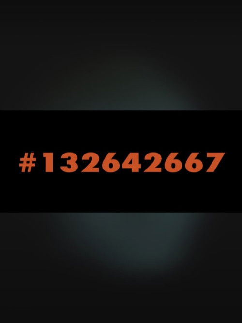 #132642667 (2020) poster