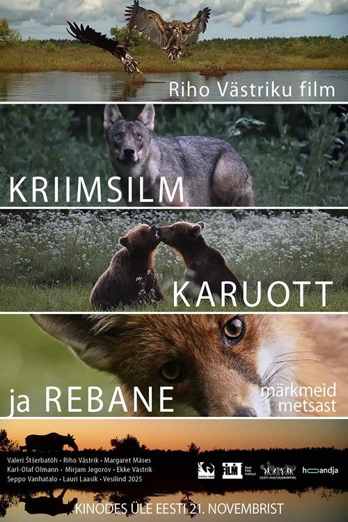 Kriimsilm, karuott ja rebane. Märkmeid metsast (2025) poster
