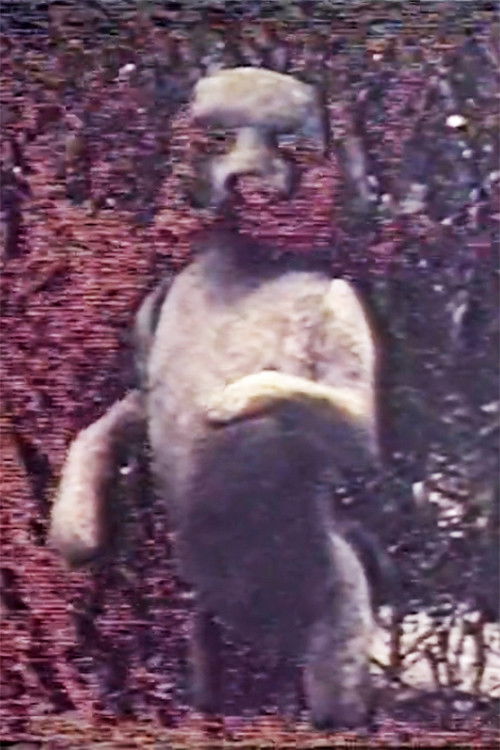 Une Passagère (1984) poster