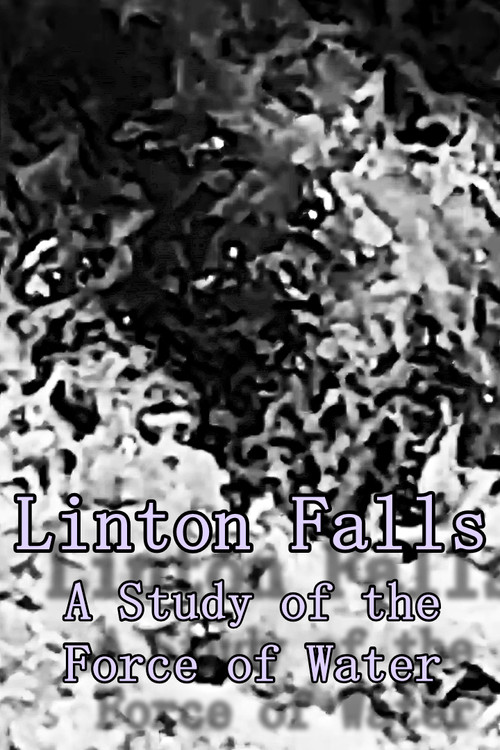 Linton Falls - A Study of the Force of Water (2024) poster