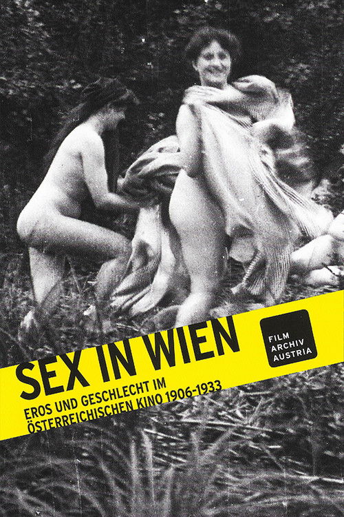 Sex in Wien: Eros und Geschlecht im österreichischen Kino 1906-1933 (2016) poster