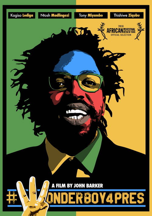 Wonder Boy for President (2016) poster