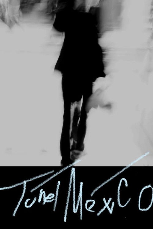 túnel méxico (2023) poster