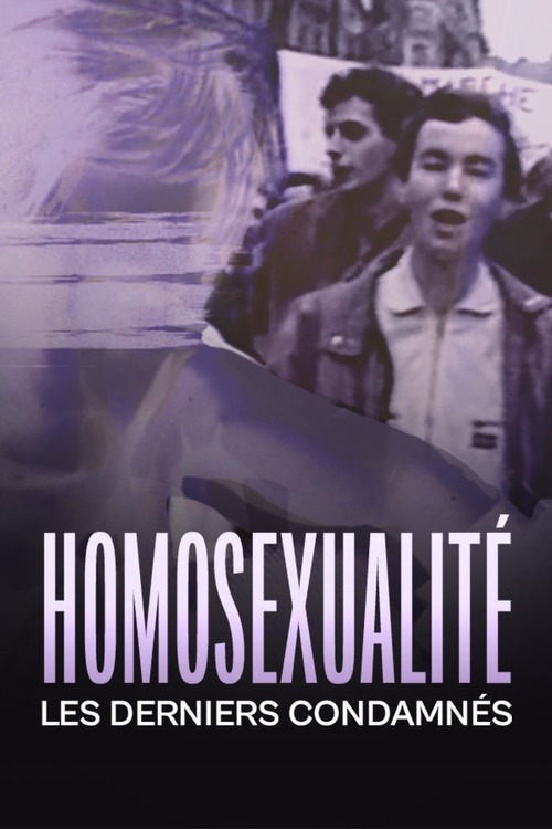 Homosexualité, les derniers condamnés (2022) poster