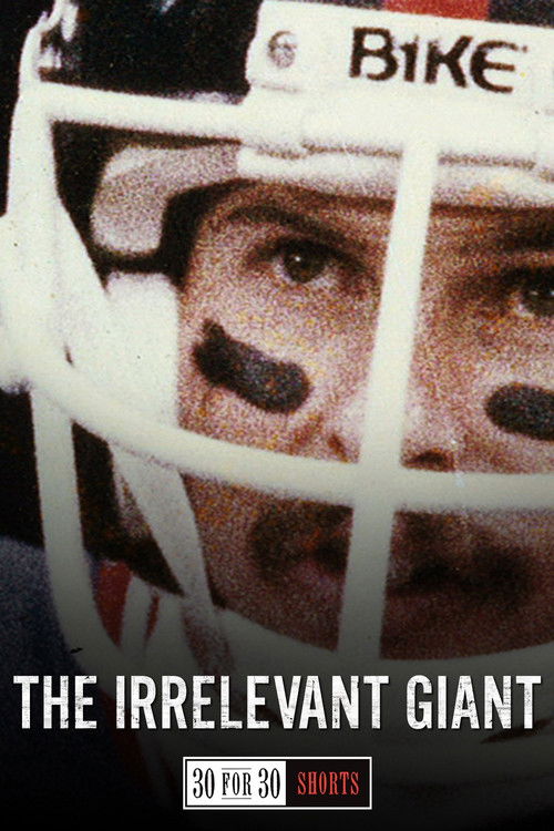 The Irrelevant Giant (2013) poster