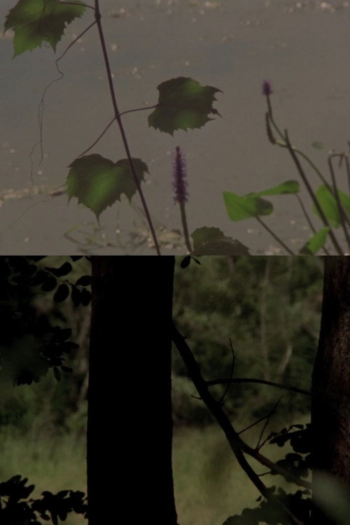 Under a Tree (2017) poster