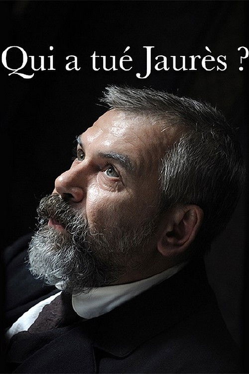 Qui a tué Jaurès ? (2014) poster