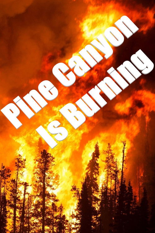 Pine Canyon Is Burning (1977) poster
