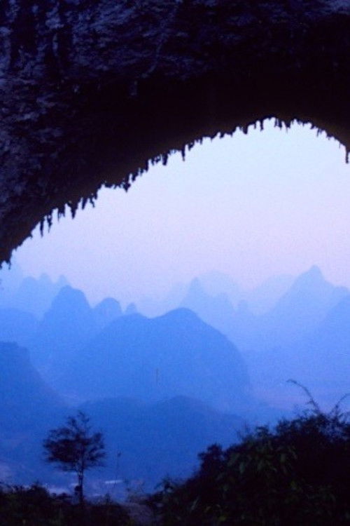 What about China? (2020) poster