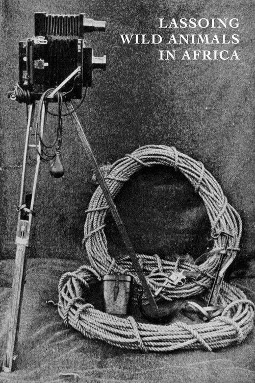 Lassoing Wild Animals in Africa (1911) poster