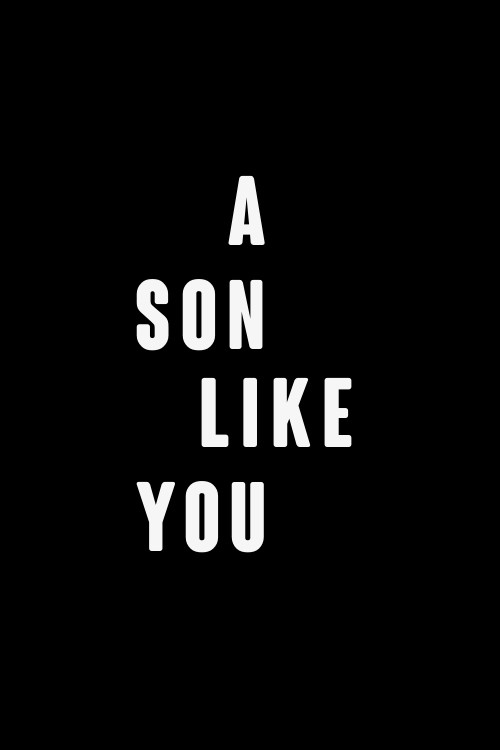 A Son Like You (2012) poster