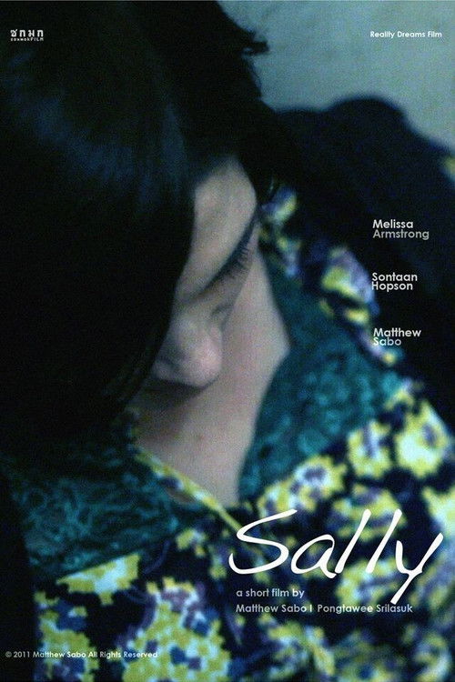 Sally (2013) poster