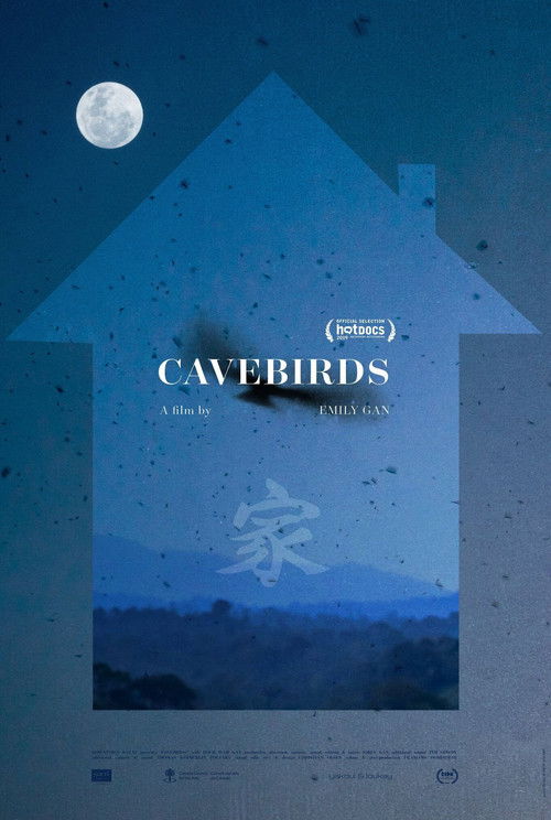 Cavebirds (2019) poster