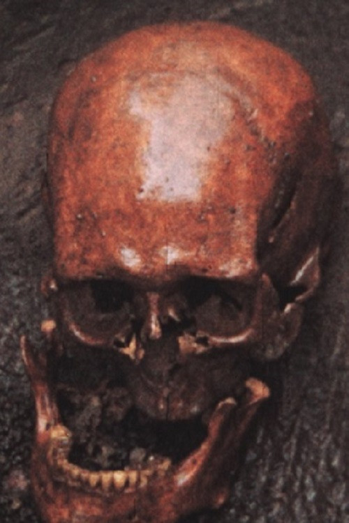 Archaeological Excavations at Skálholt in 1954 (1956) poster