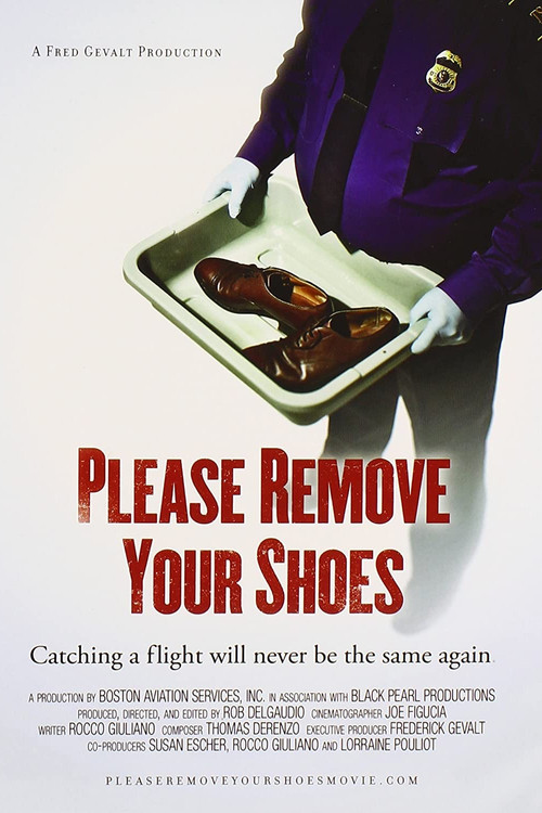 Please Remove Your Shoes (2010) poster
