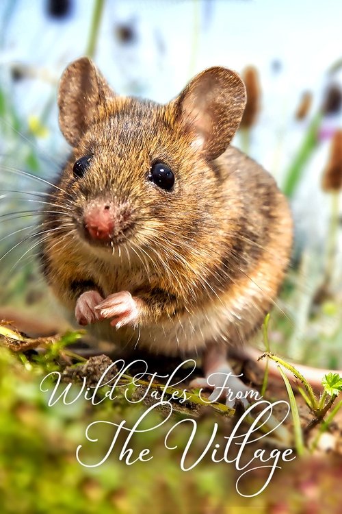 Wild Tales From The Village (2016) poster