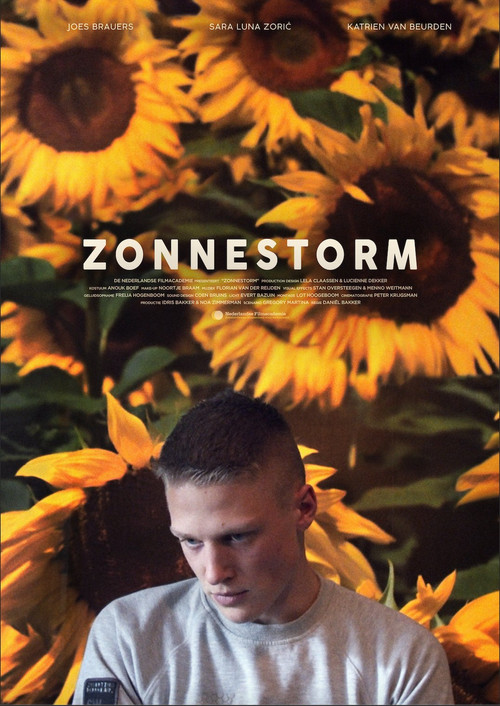 Zonnestorm (2019) poster