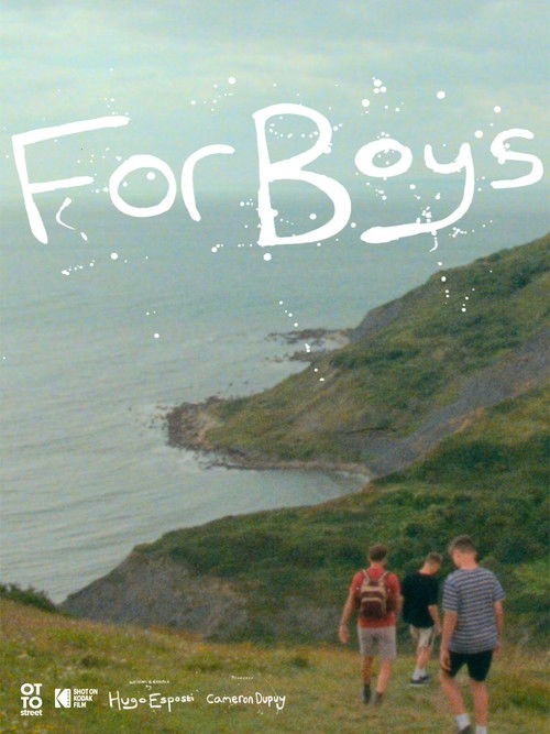 For Boys (2024) poster
