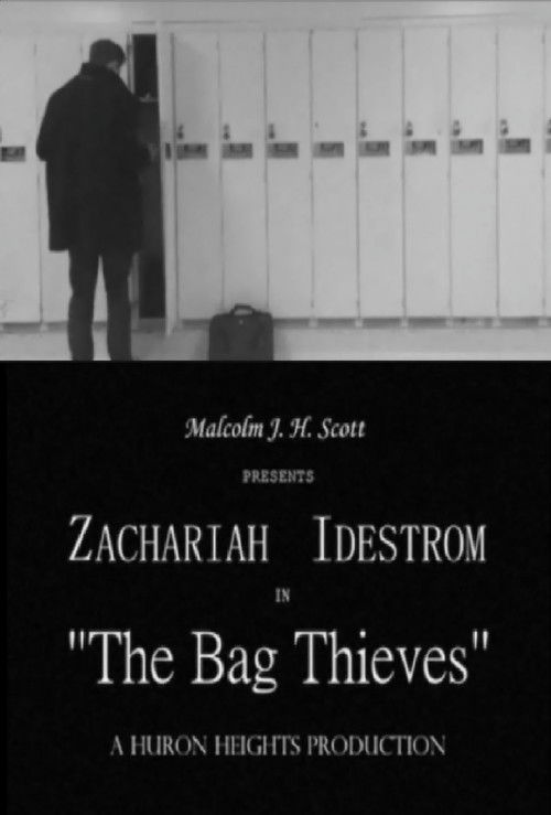 The Bag Thieves (2018) poster