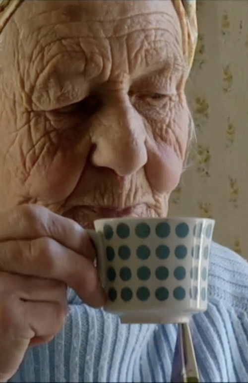 Dora på Lammholm (2013) poster