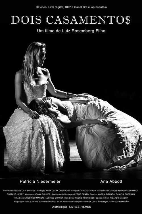 Dois Casamentos (2014) poster