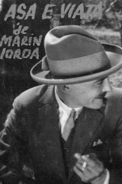 Așa e viața (1928) poster