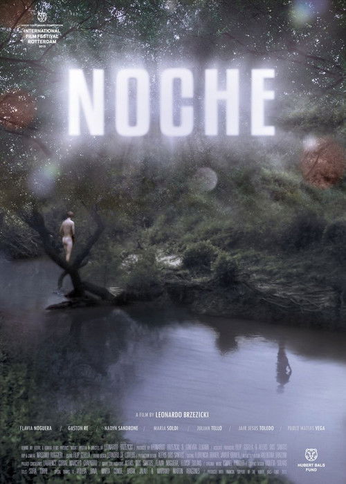 Night (2013) poster