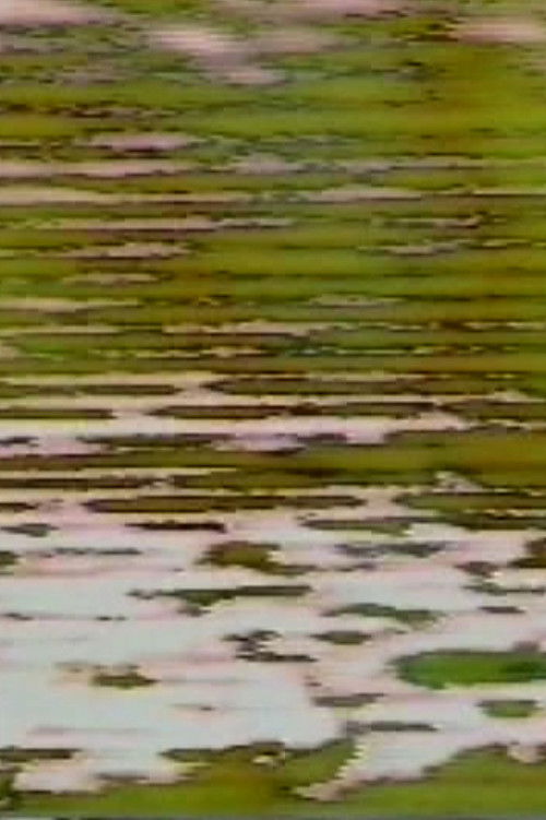 Mirror Road (1976) poster