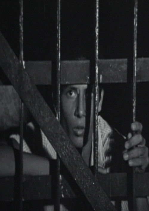 Los Presos (1975) poster